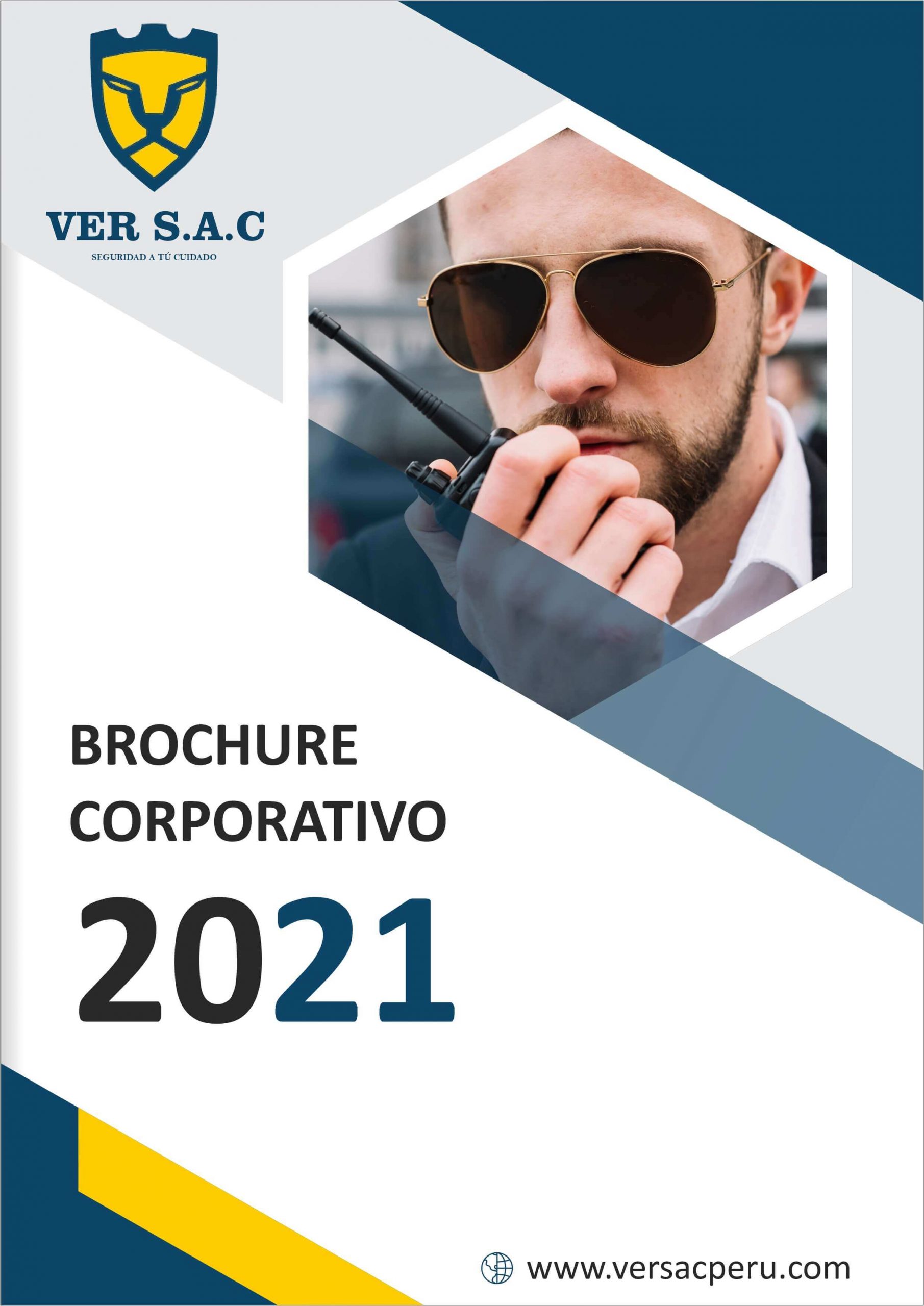 brochure digital y paginas web